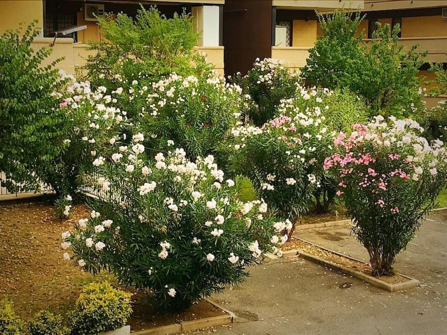 Apartment With Private Parking - Roma Est. Lunghezza Εξωτερικό φωτογραφία